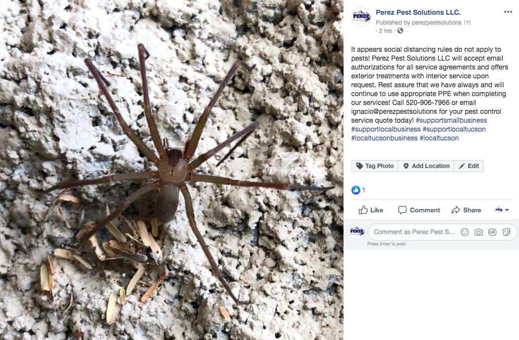 Perez Pest Solutions project