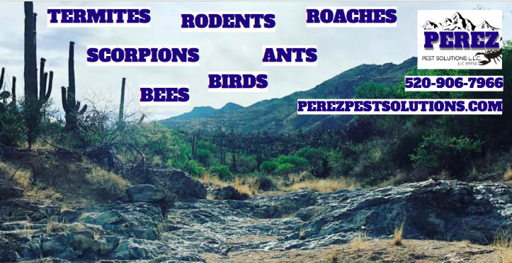 Perez Pest Solutions project